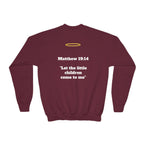 Matthew 19: 14 Youth  Sweatshirt
