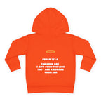 The God Collection Toddler Hoodie | Halo Graphic Pullover
