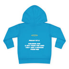 The God Collection Toddler Hoodie | Halo Graphic Pullover