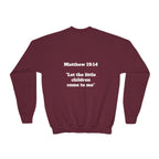 Matthew 19: 14 Youth  Sweatshirt