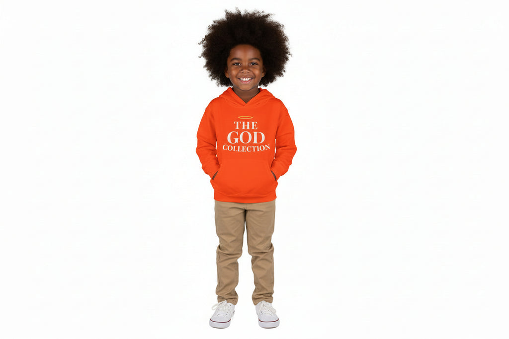 Psalm 127:3 Toddler Hoodie | Halo Graphic Pullover