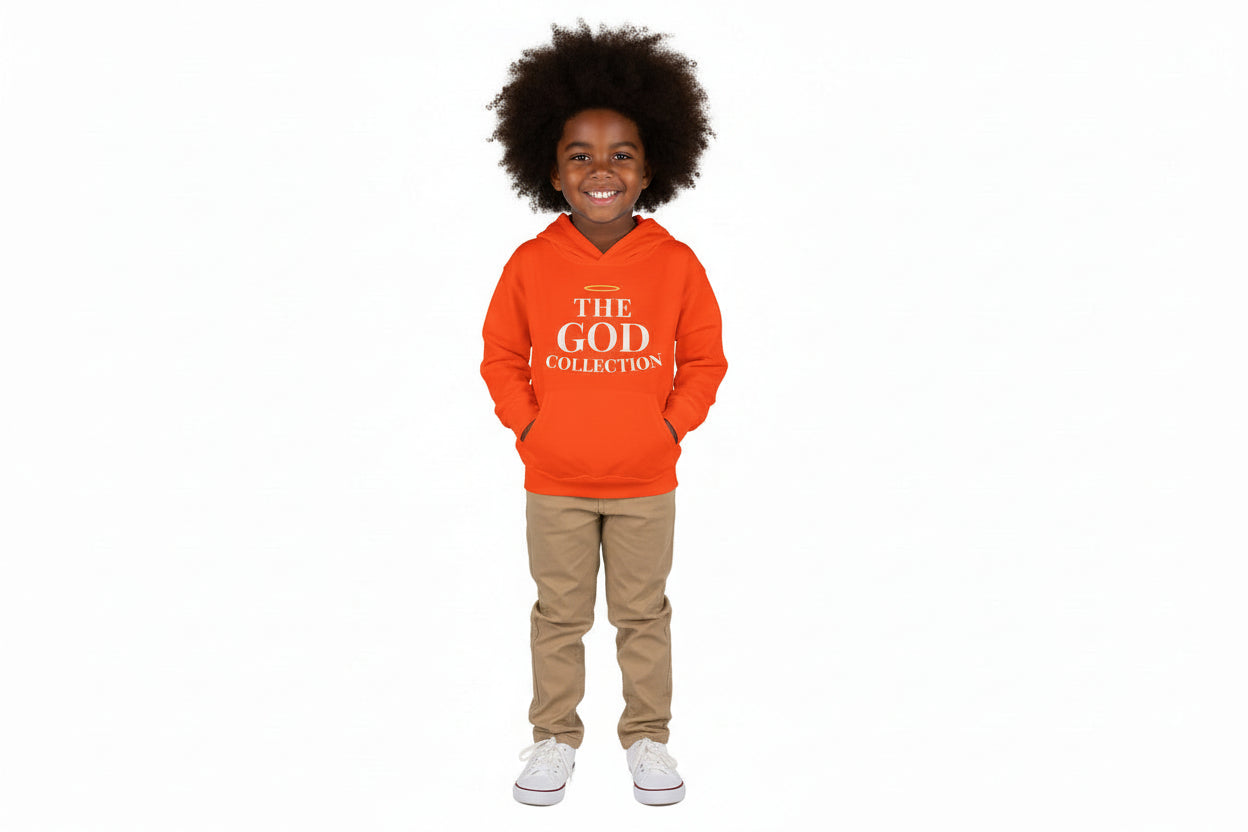 Psalm 127:3 Toddler Hoodie | Halo Graphic Pullover