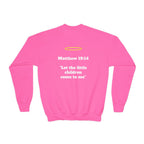 Matthew 19: 14 Youth  Sweatshirt
